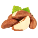 Brazil nut