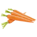 Carrot