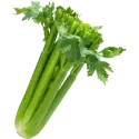 Celery