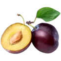 Common plum