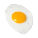 Egg