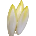 Endive