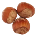 Hazelnut