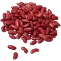 Kidney bean