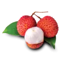 Lychee