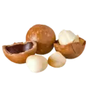 Macadamia