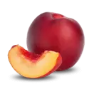 Nectarine