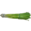 Scallion