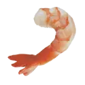 Shrimp