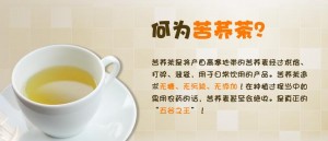 何为苦荞茶？|苦荞之家