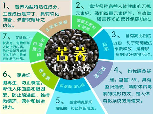 荞麦的作用与功效图片