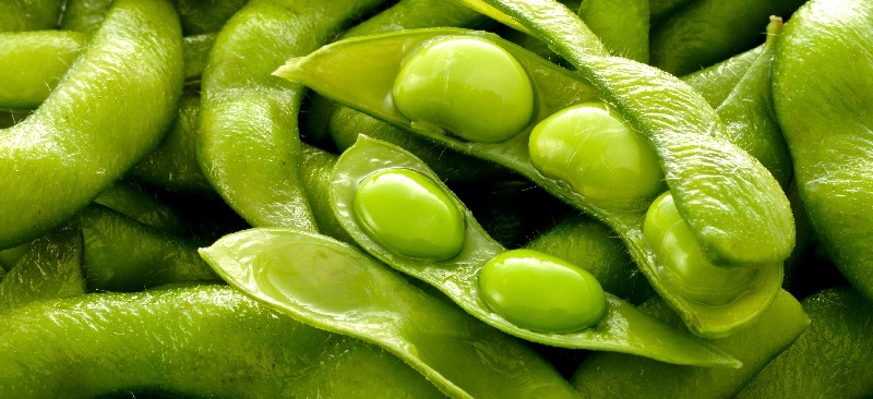 大豆对你有害吗？还是充满了好处？|苦荞之家