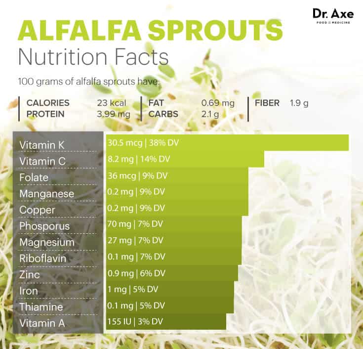 Alfalfa sprouts nutrition - Dr. Axe