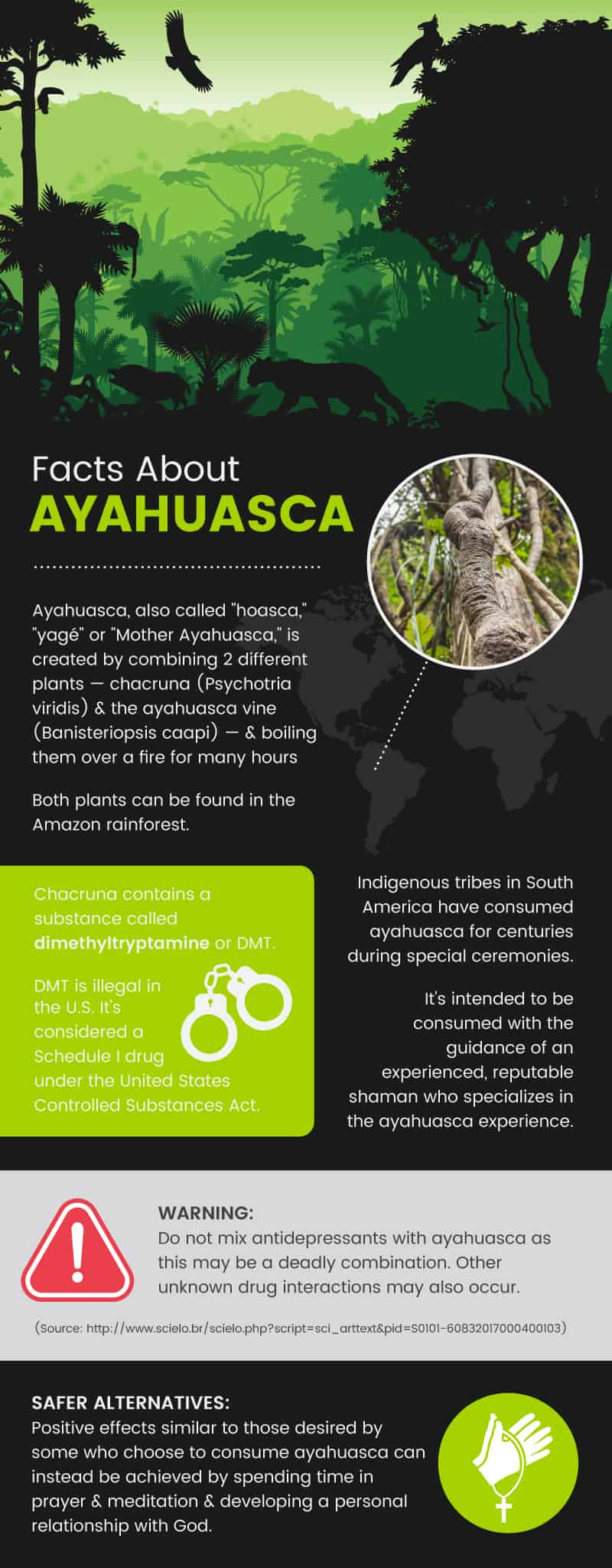 Ayahuasca facts - Dr. Axe
