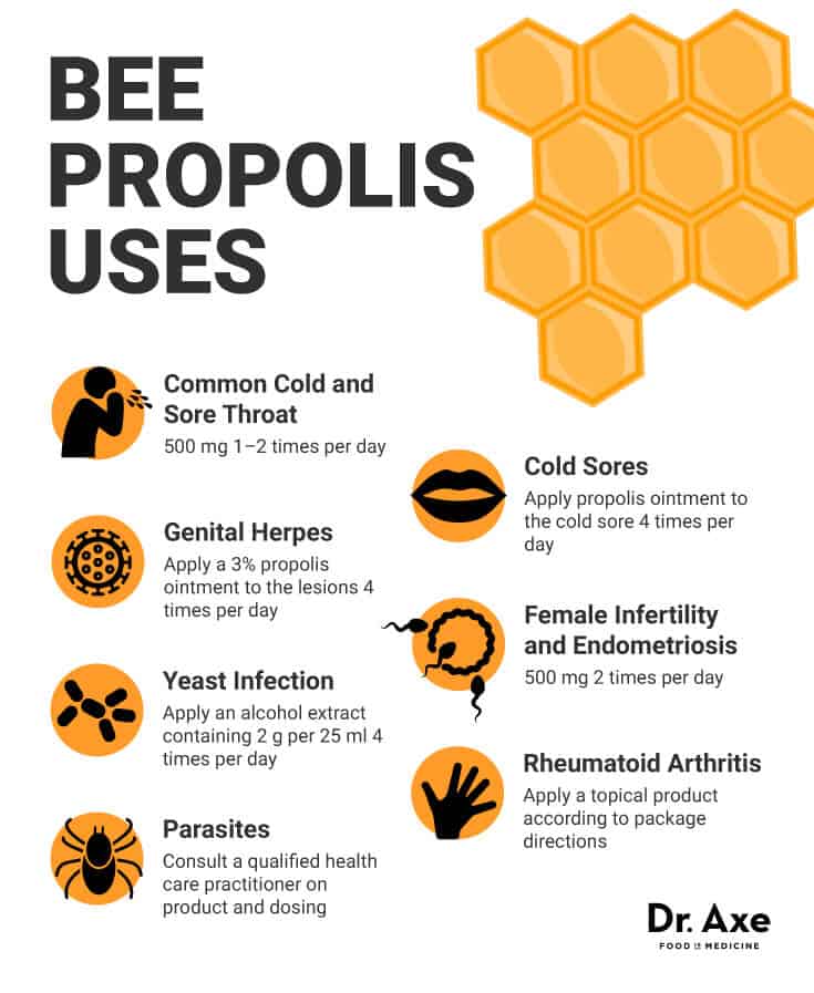 Bee propolis uses - Dr. Axe