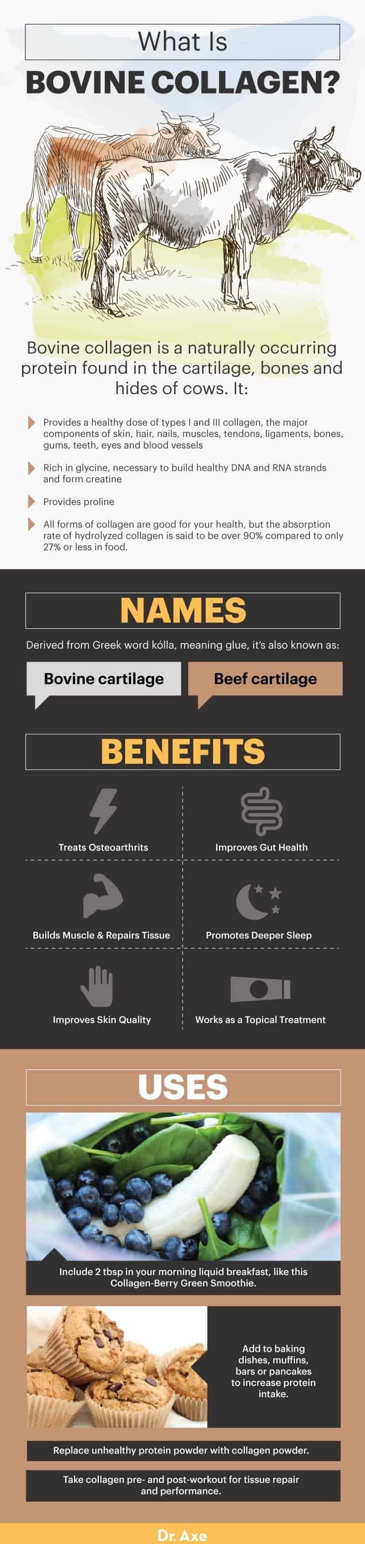 What is bovine collagen? - Dr. Axe