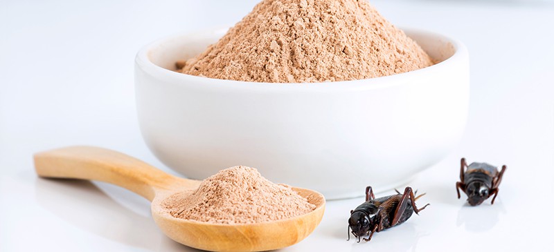 Cricket flour - Dr. Axe