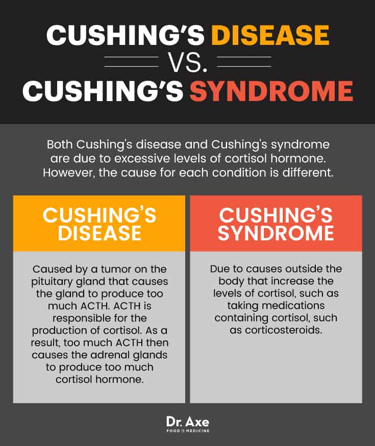 Cushing's disease vs Cushing's syndrome - Dr. Axe