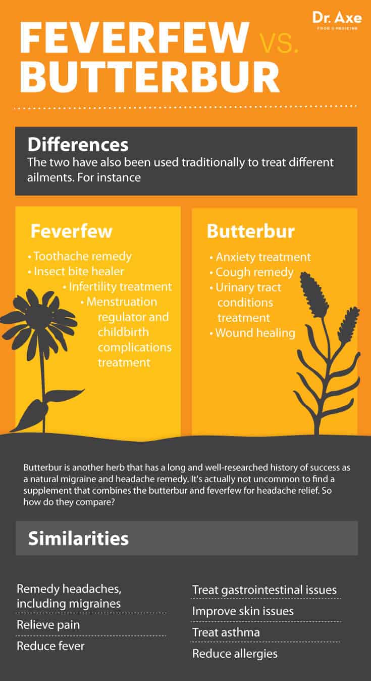 Feverfew vs. butterbur - Dr. Axe