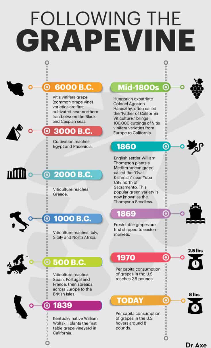 Grapes nutrition timeline - Dr. Axe