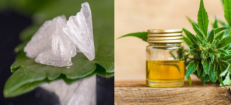 CBD隔离与全谱CBD：一个比另一个好吗？|苦荞之家