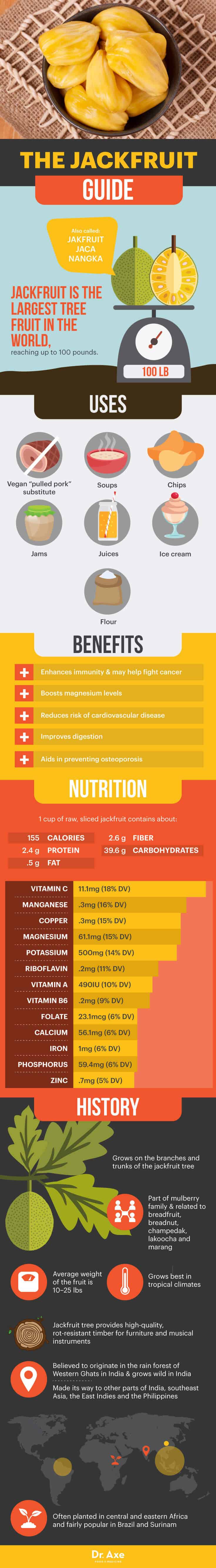 The jackfruit guide - Dr. Axe