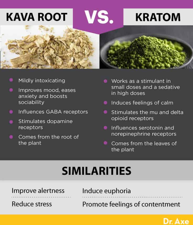 Kava root vs. kratom - Dr. Axe