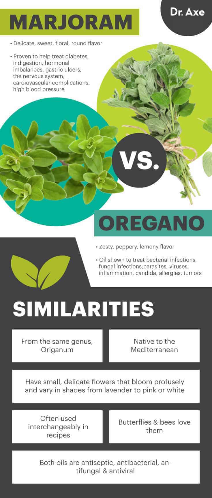 Marjoram vs. oregano - Dr. Axe