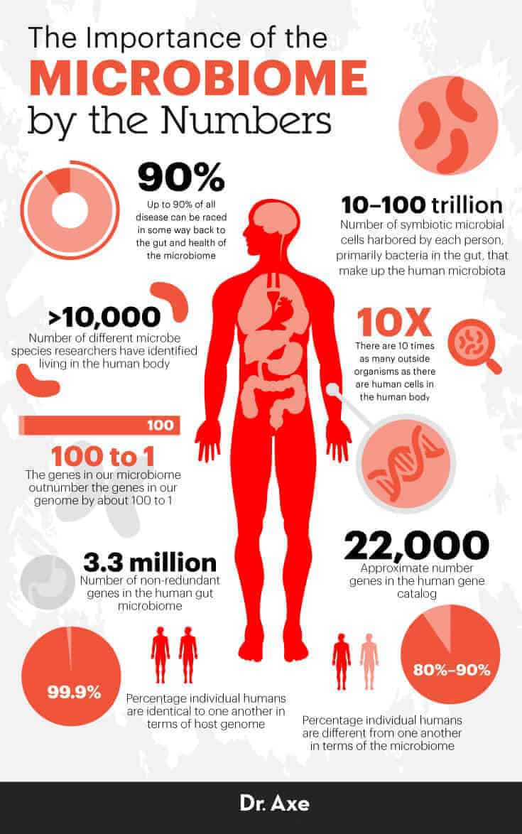 Microbiome - Dr. Axe