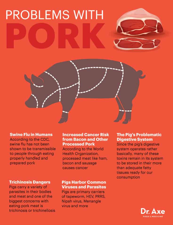 Problems with pork - Dr. Axe
