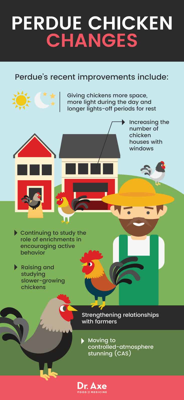 Perdue chicken changes - Dr. Axe