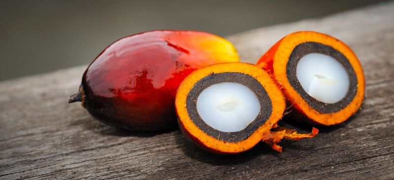 红棕榈油有益于心脏和大脑，但对环境有害吗？|苦荞之家