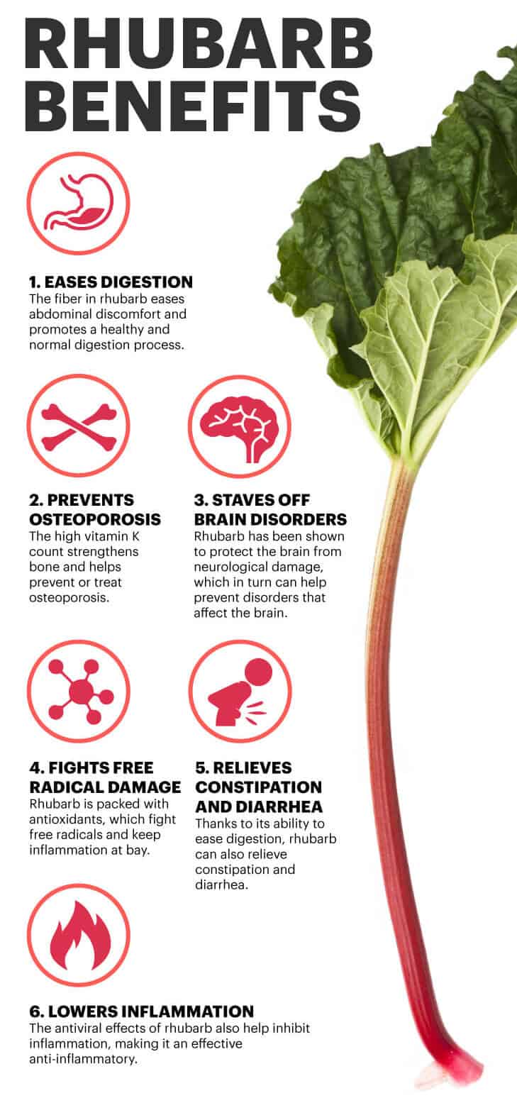 Rhubarb benefits - Dr. Axe