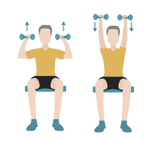 Seated shoulder press - Dr. Axe