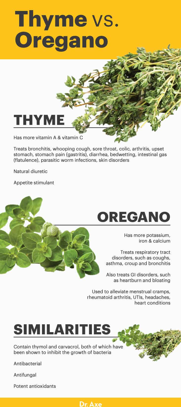 Thyme vs. oregano - Dr. Axe