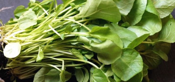 Watercress benefits - Dr. Axe