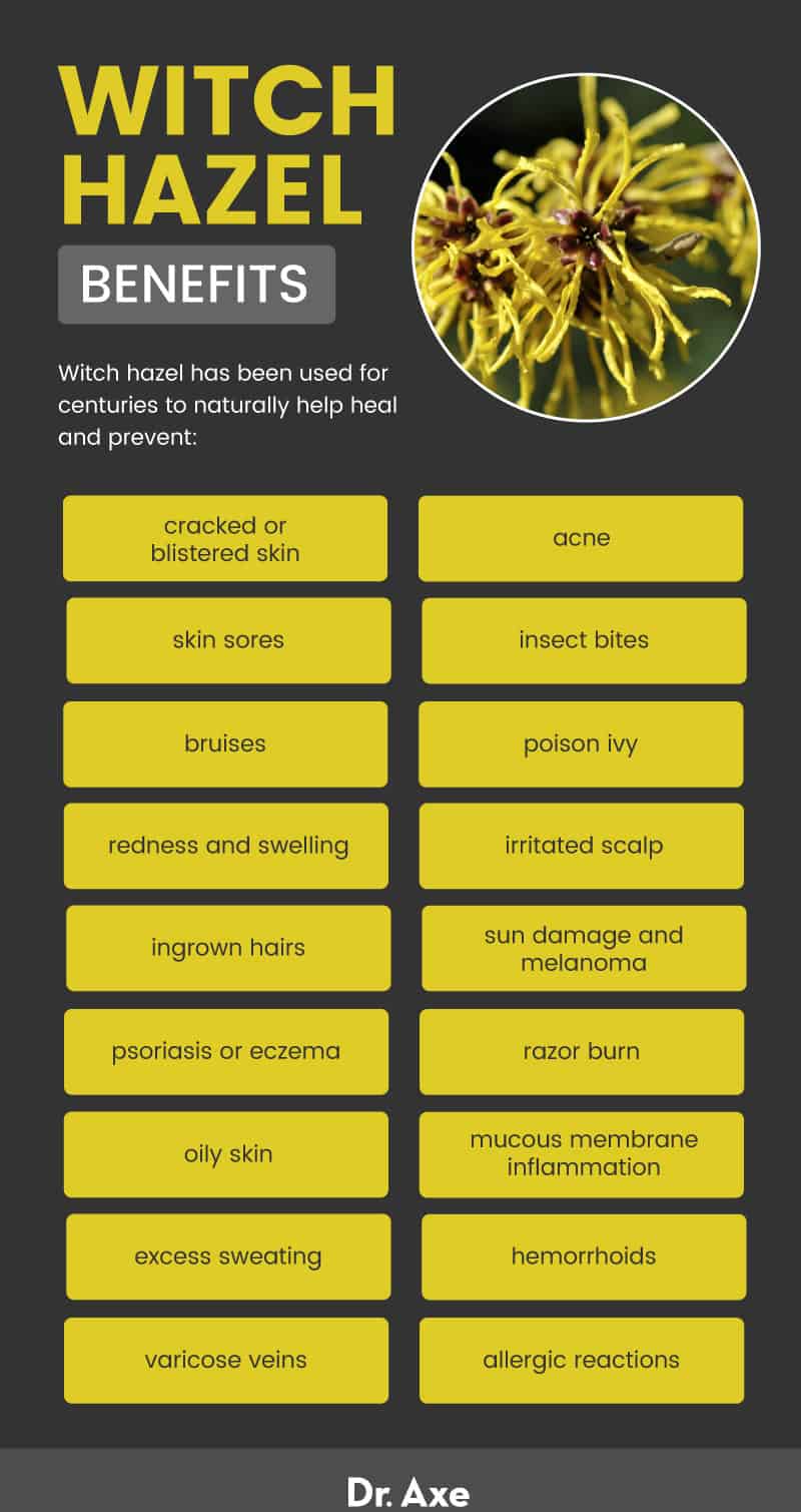 Witch hazel benefits - Dr. Axe