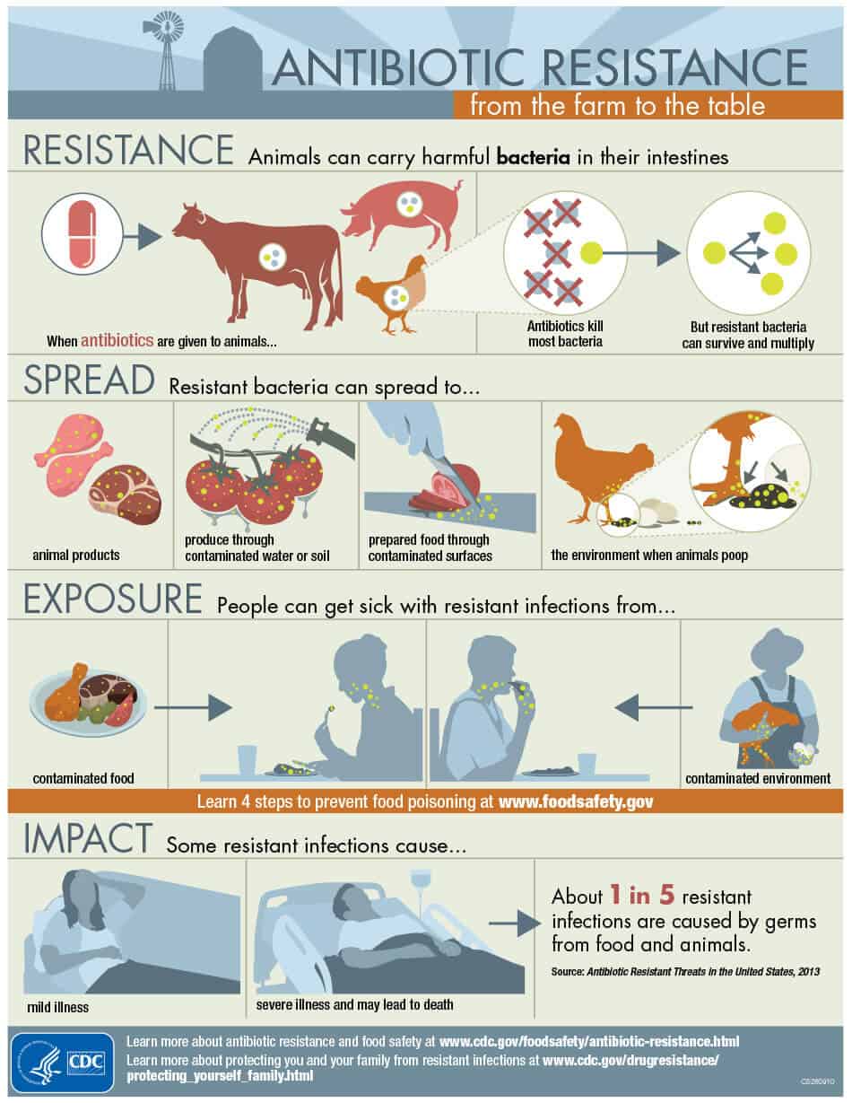 Antibiotic-resistance infographic