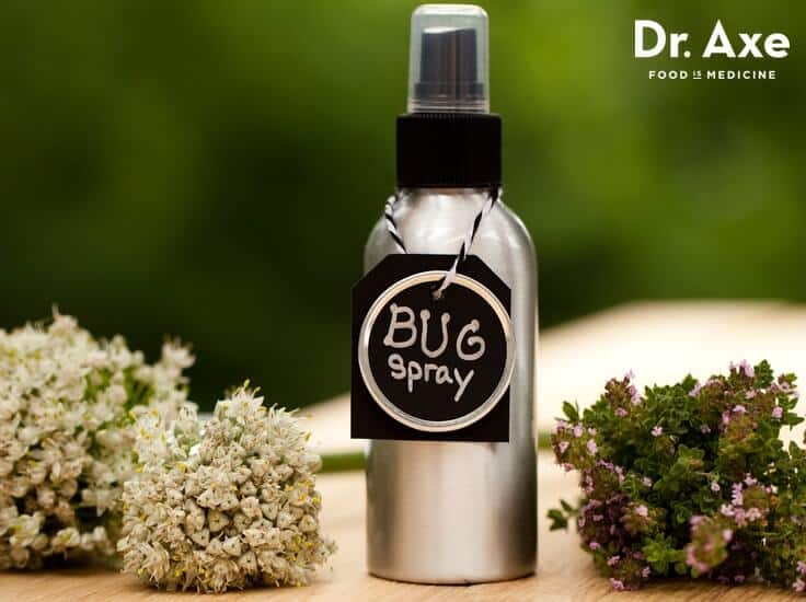 Homemade Bug Spray