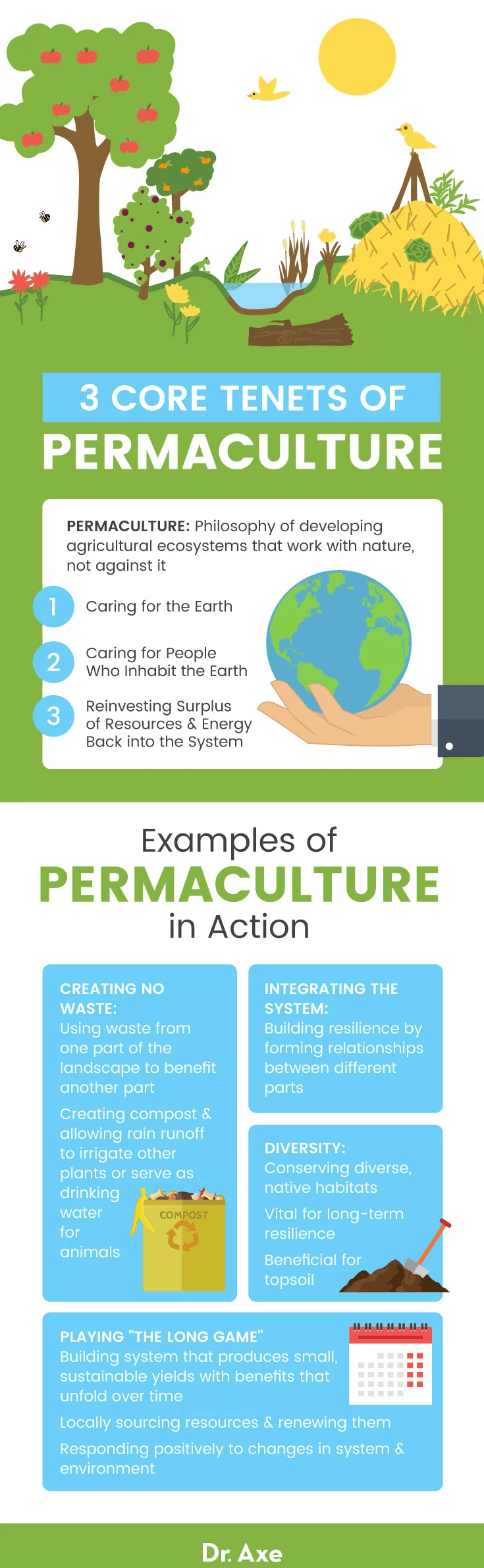 Permaculture - Dr. Axe