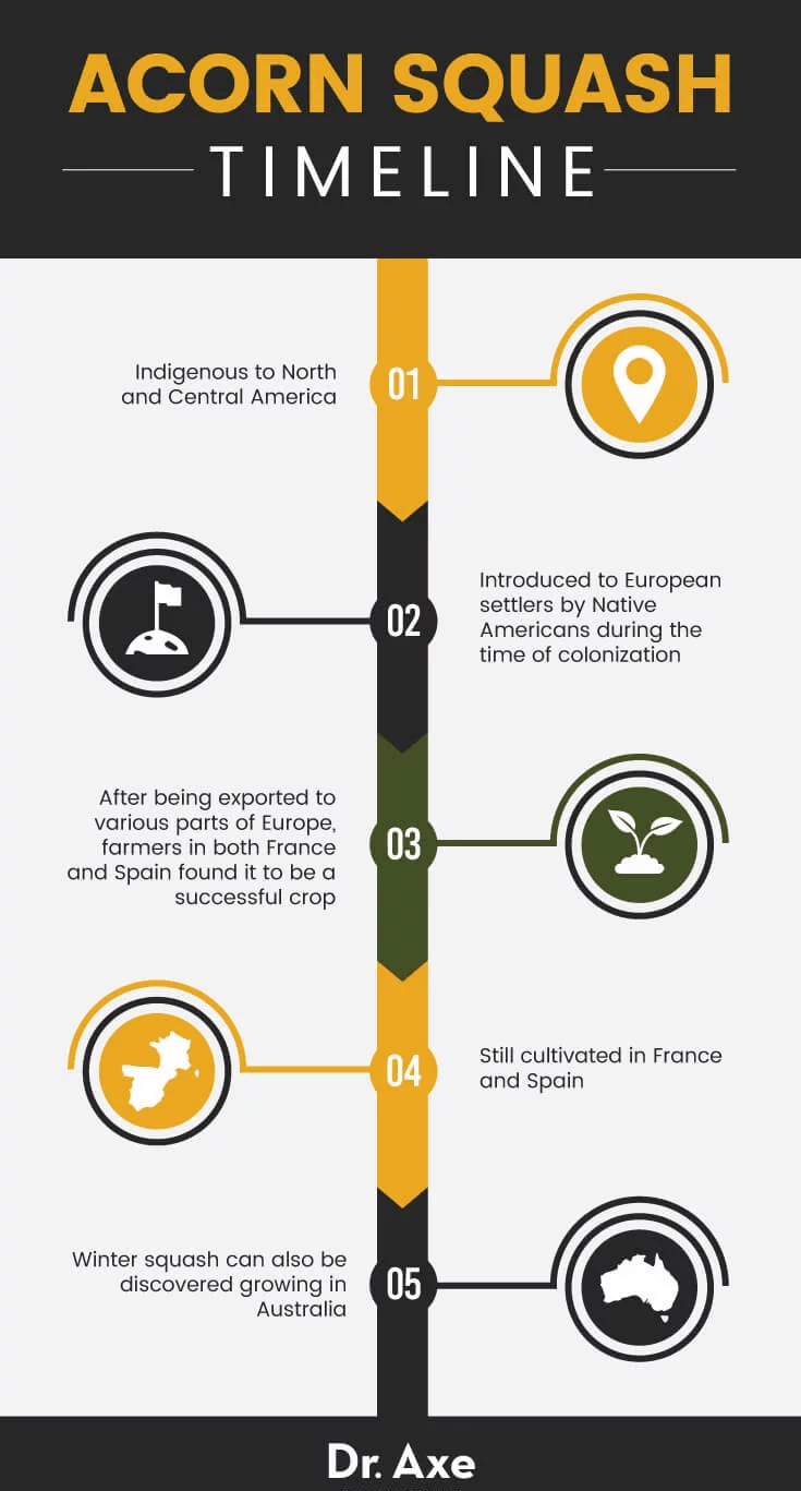 Acorn squash nutrition - Dr. Axe