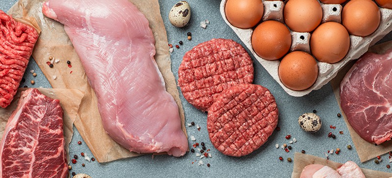 食肉动物的饮食健康吗？利益与危险|苦荞之家