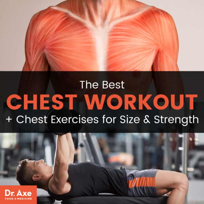 Chest workouts - Dr. Axe