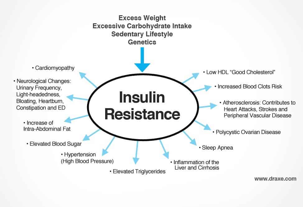 draxe-Insulin Resistance infographic2