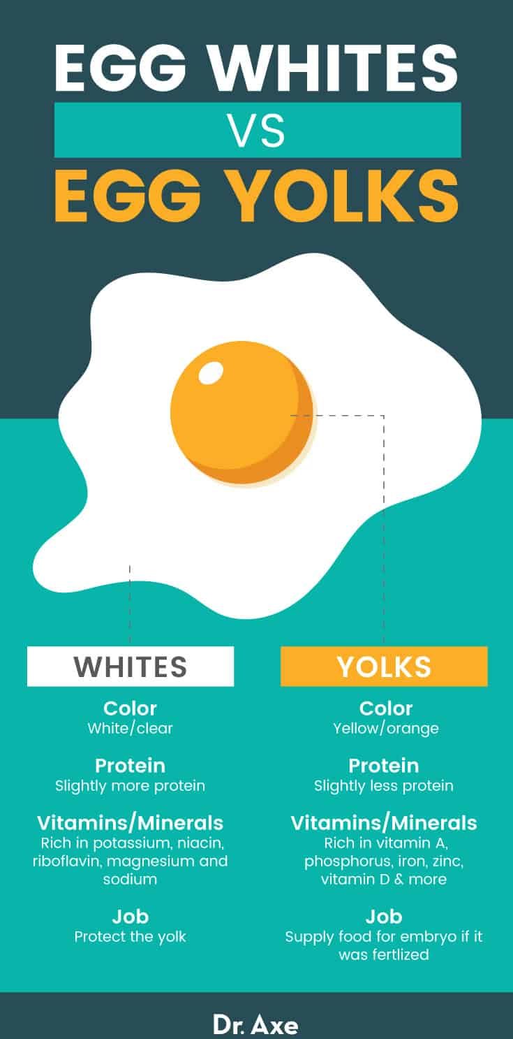 Egg whites vs. egg yolks - Dr. Axe