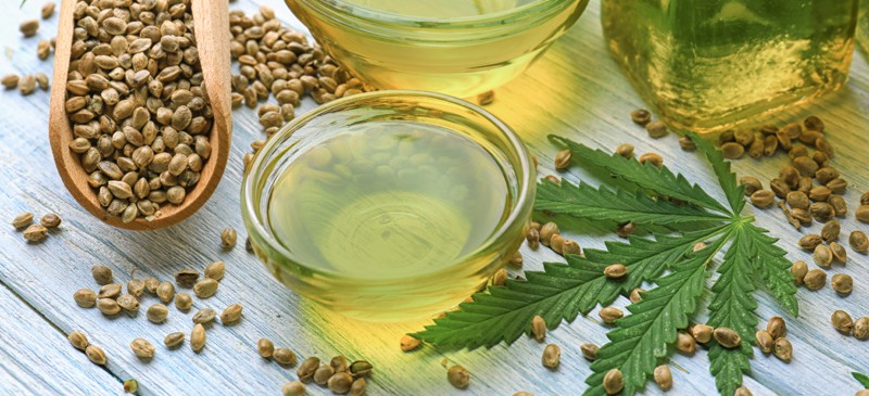 大麻是什么？它的用途很多，历史也很复杂|苦荞之家