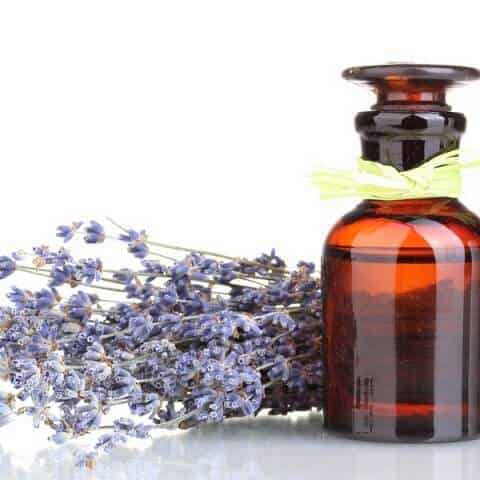 lavender oil