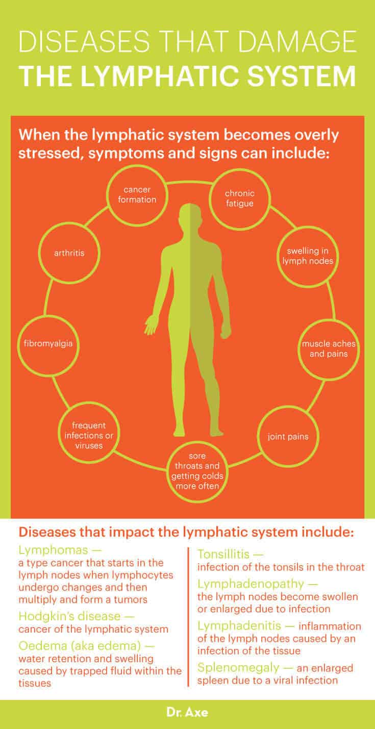 Lymphatic system - Dr. Axe