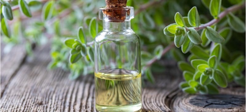 Marjoram essential oil - Dr. Axe