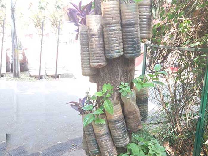 A picture of Sadhan Radhakrishnan's farm